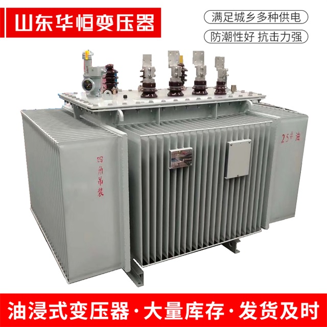 S13-10000/35滨海滨海滨海电力变压器厂家